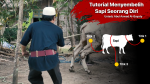 Metode Menyembelih Hewan Qurban Seorang Diri bimbingan islam