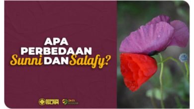 Apa Perbedaan Sunni dan Salafy