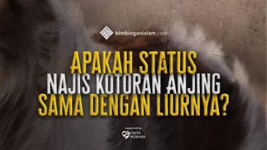 Apakah Status Najis Kotoran Anjing Sama dengan Liurnya
