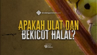 Apakah Ulat dan Bekicot Halal