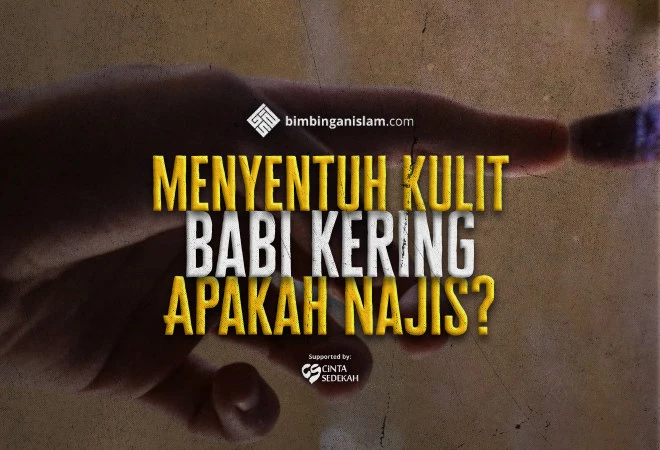 Menyentuh Kulit Babi Kering Apakah Najis