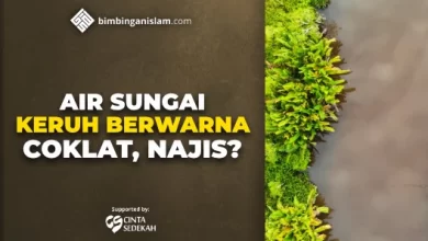AIR SUNGAI KERUH BERWARNA COKELAT, NAJIS