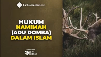 HUKUM NAMIMAH (ADU DOMBA) DALAM ISLAM