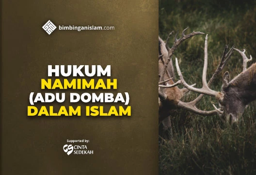 HUKUM NAMIMAH (ADU DOMBA) DALAM ISLAM