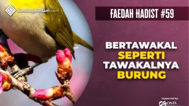 HADIST #59 BERTAWAKAL SEPERTI TAWAKALNYA BURUNG
