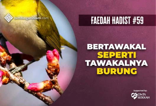 HADIST #59 BERTAWAKAL SEPERTI TAWAKALNYA BURUNG
