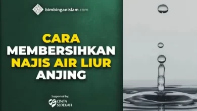 CARA MEMBERSIHKAN NAJIS AIR LIUR ANJING
