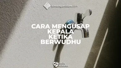 Cara Mengusap Kepala Ketika Berwudhu