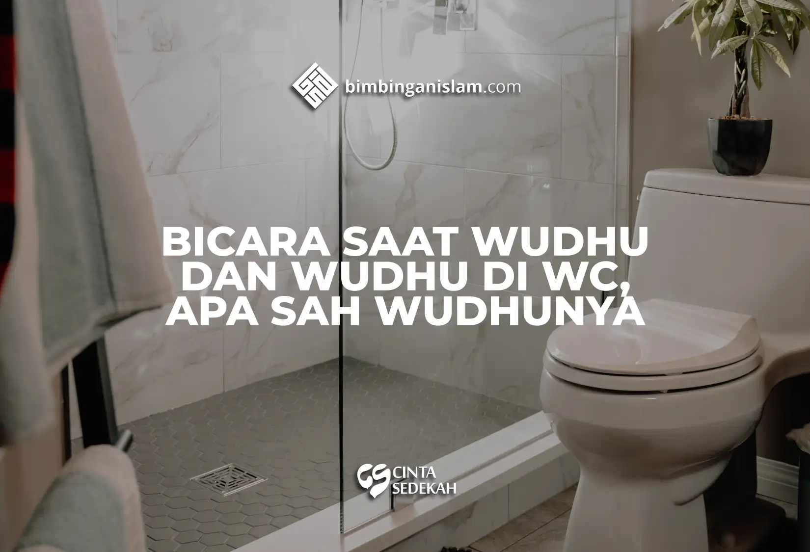 BICARA SAAT WUDHU DAN WUDHU DI WC, APA SAH WUDHUNYA