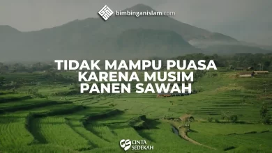 TIDAK MAMPU PUASA KARENA MUSIM PANEN SAWAH