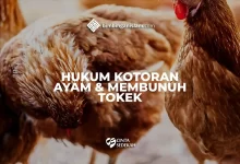 Hukum Kotoran Ayam Dan Membunuh Tokek