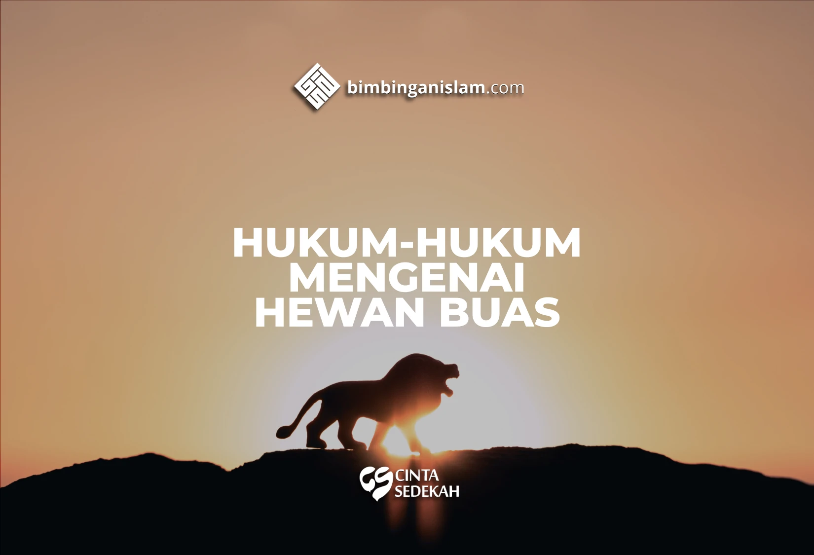 Hukum Mengenai Hewan Hewan Buas