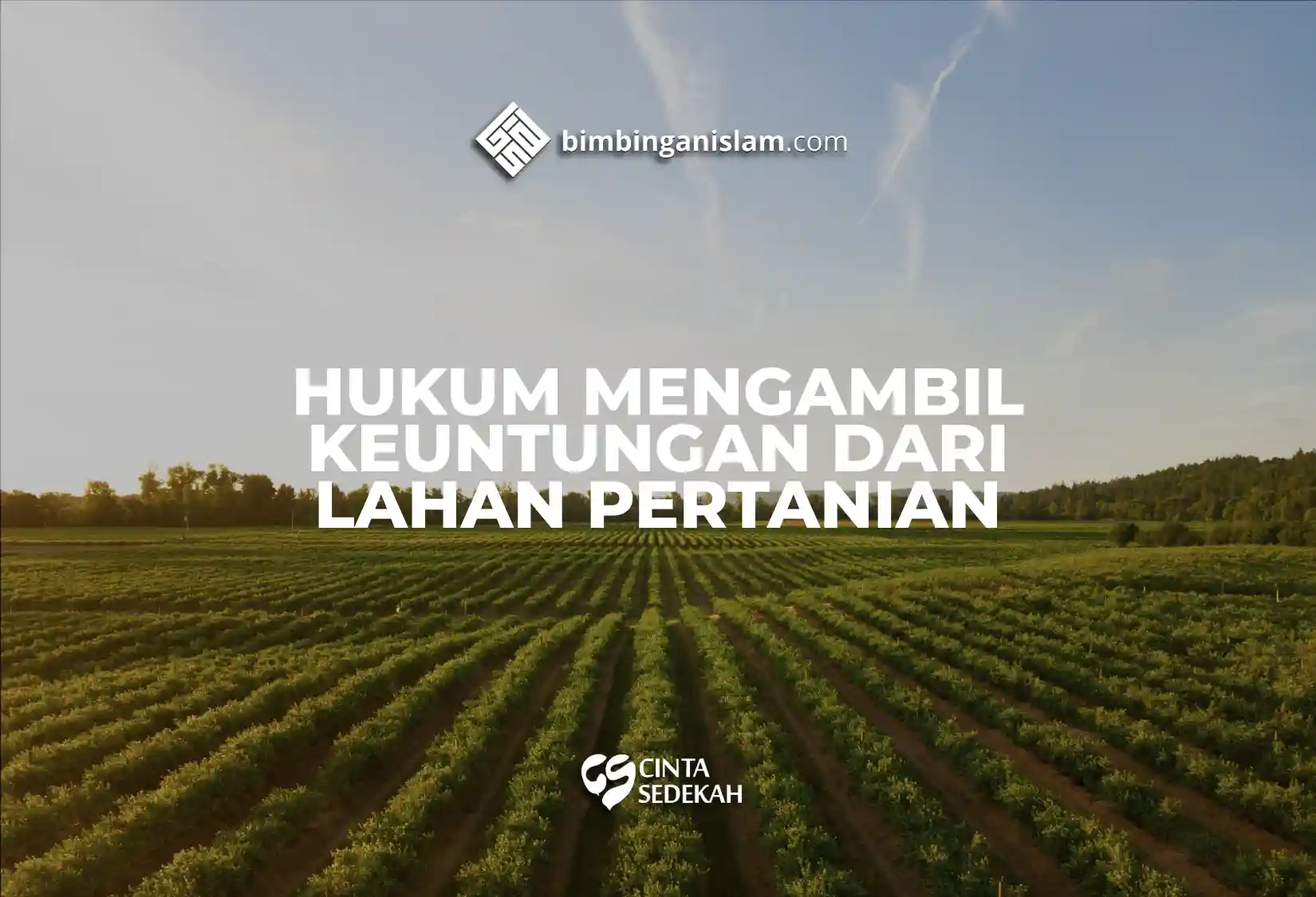 Hukum Mengambil Keuntungan Dari Lahan Pertanian