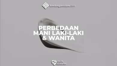 Perbedaan Air Mani Laki Laki Dan Wanita