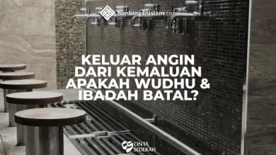 Keluar Angin Dari Kemaluan Apakah Wudhu Dan Ibadah Batal
