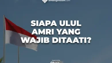 ulul amri